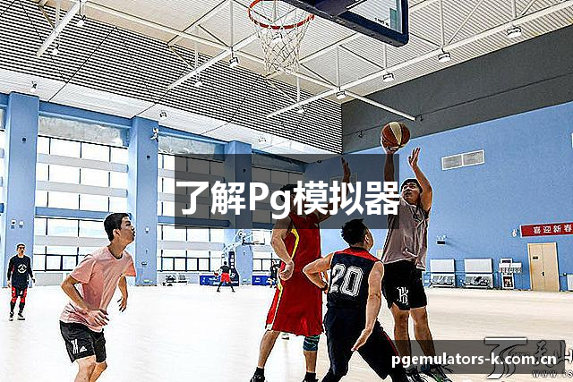 了解Pg模拟器